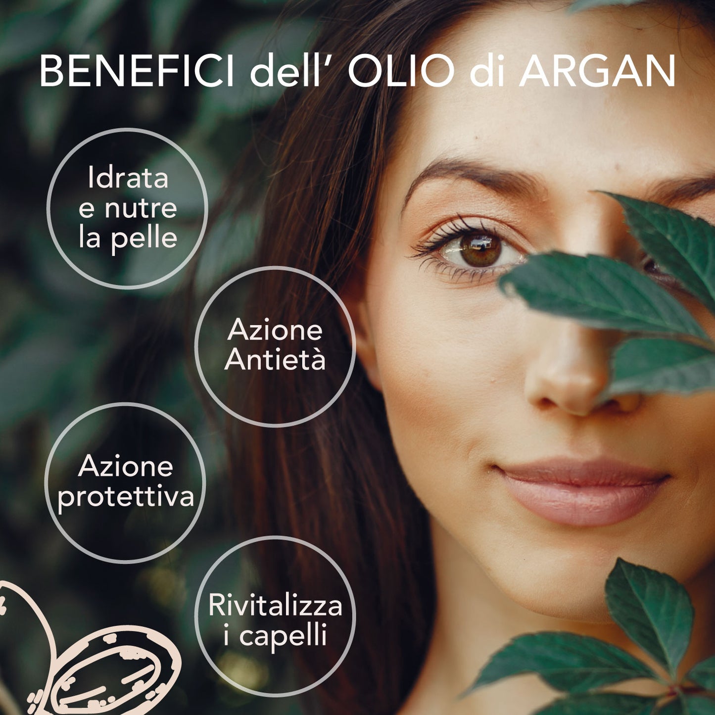 Olio di Argan Naturale, essenza Camellia Sinensis, 100 ml